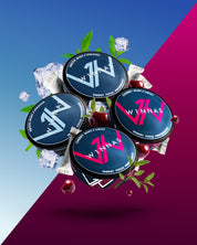 Summer Bundle