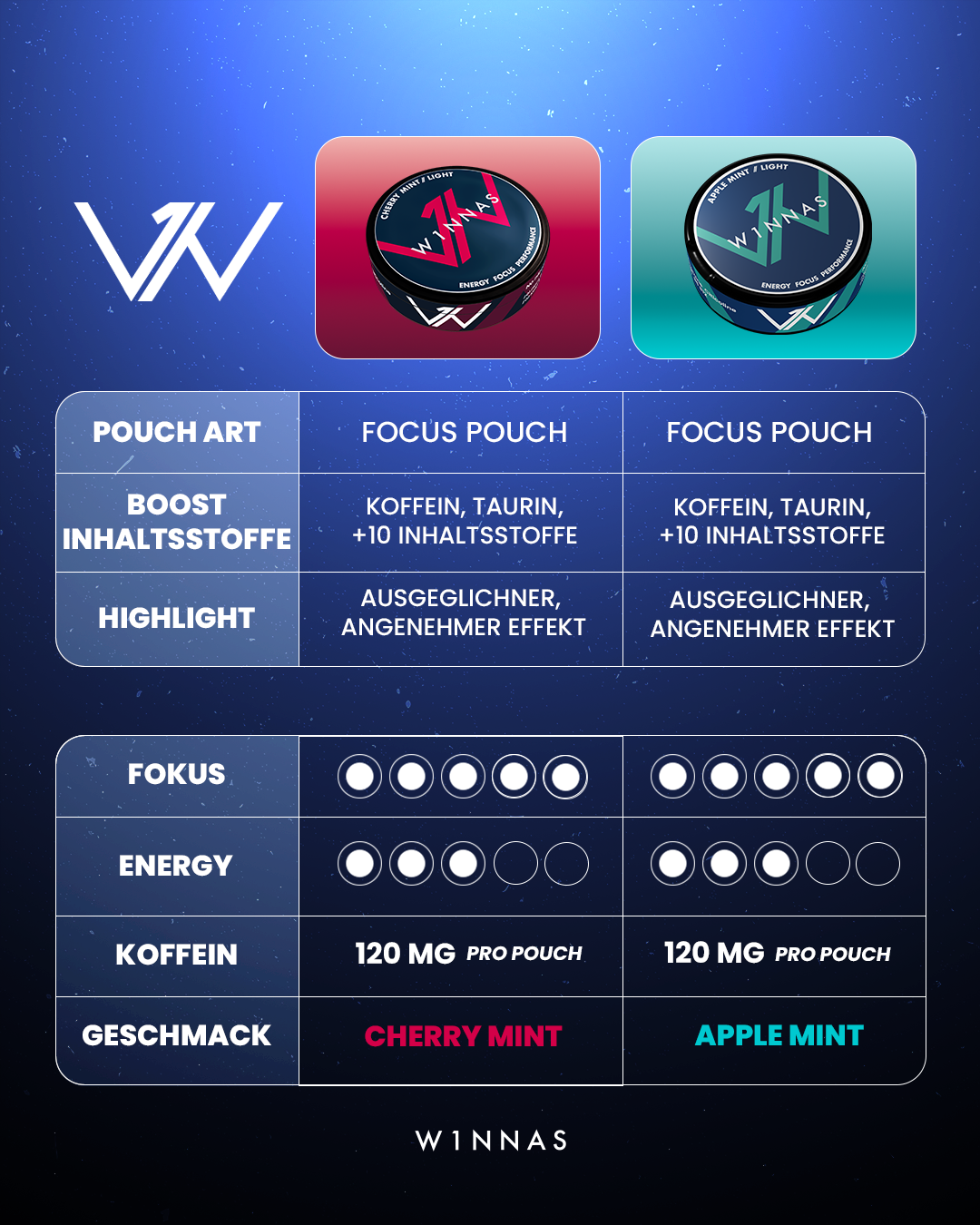 Focus Bundle