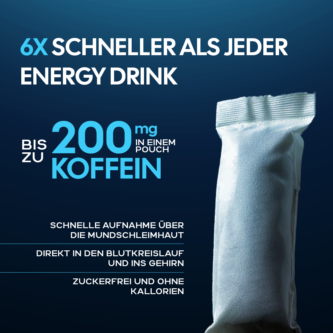 1 Year Birthday Bundle | LIMITIERT