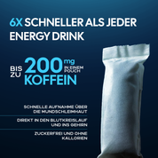 1 Year Birthday Bundle | LIMITIERT